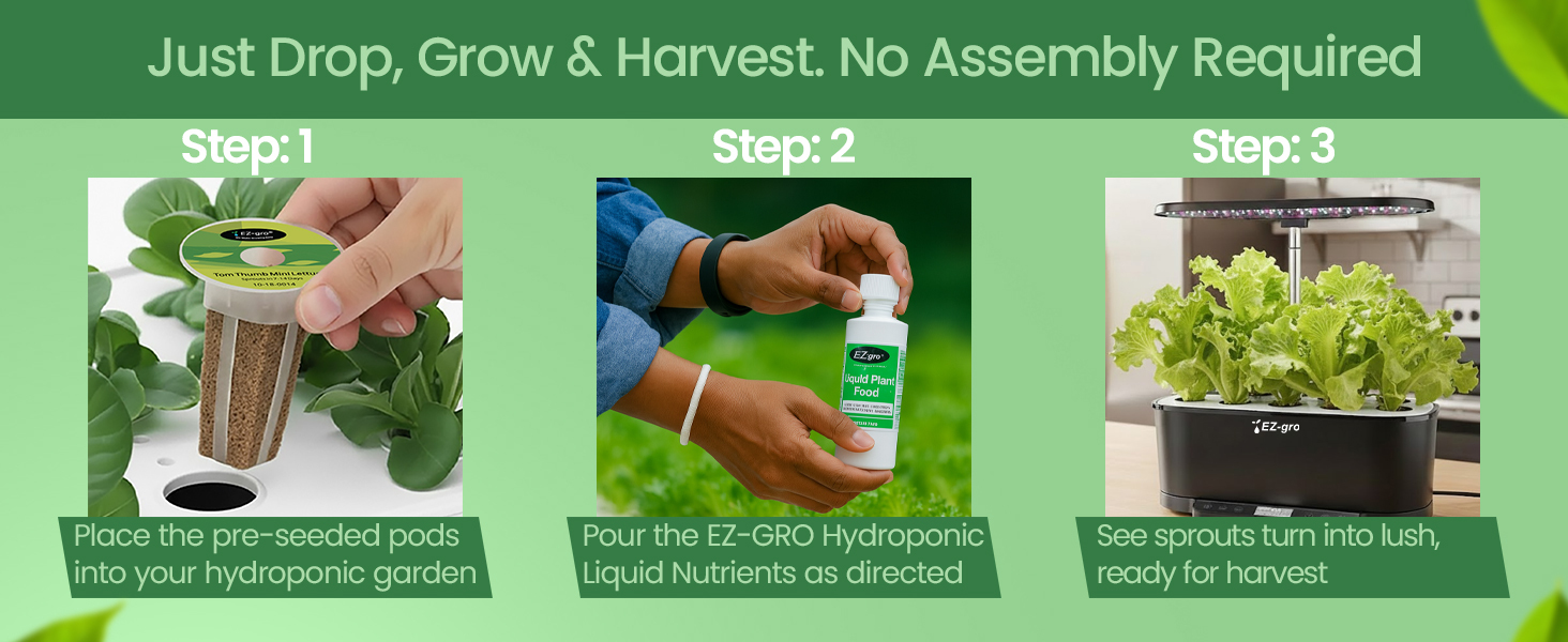 EZ-gro Tom Thumb Mini Butterhead Lettuce drop, grow, and harvest pre-seeded 3-pods for easy hydroponic gardening