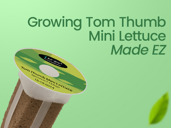 EZ-gro Tom Thumb Mini Butterhead Lettuce growing made EZ with no-assembly pre-seeded hydroponic 9-pods