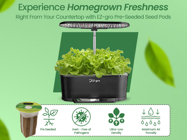 EZ-gro Tom Thumb Mini Butterhead Lettuce homegrown freshness harvested from a soil-free hydroponic garden