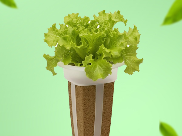 EZ-gro Tom Thumb Mini Butterhead Lettuce simple and sustainable gardening with GMO-free pre-seeded 3-pods