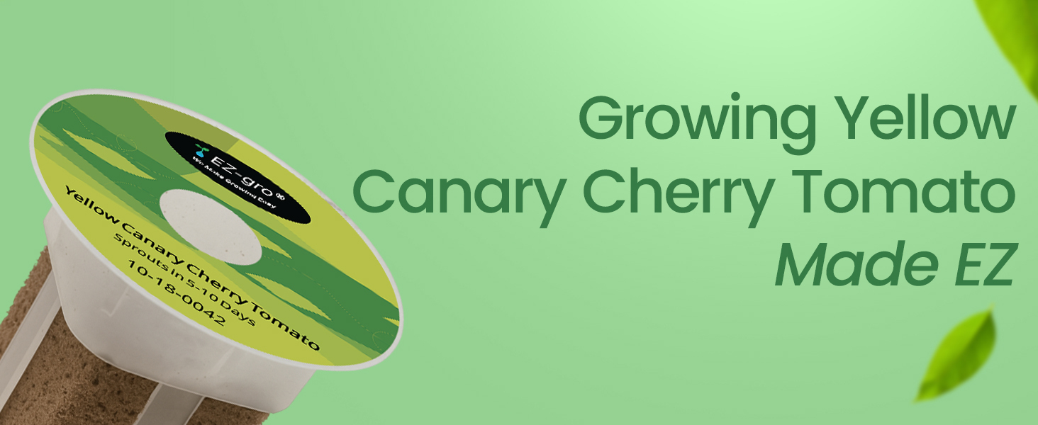 Growing made EZ with EZ-gro Yellow Canary Cherry Tomato pre-seeded 3-pods for hydroponic systems