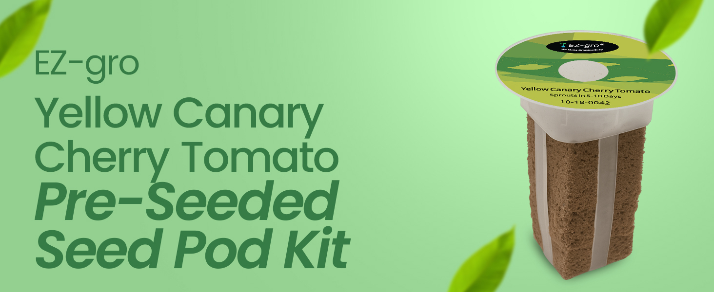 EZ-gro Yellow Canary Cherry Tomato pre-seeded seed 3-pod kit with soil-free Oasis® sponges for hydroponic systems