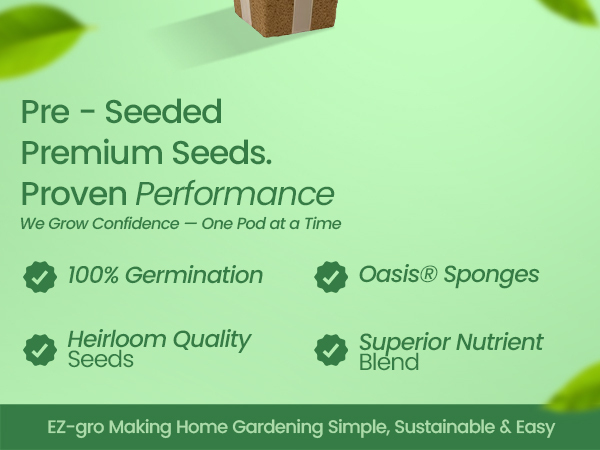 Premium EZ-gro Yellow Canary Cherry Tomato pre-seeded 3-pods with Oasis® substrates for strong roots