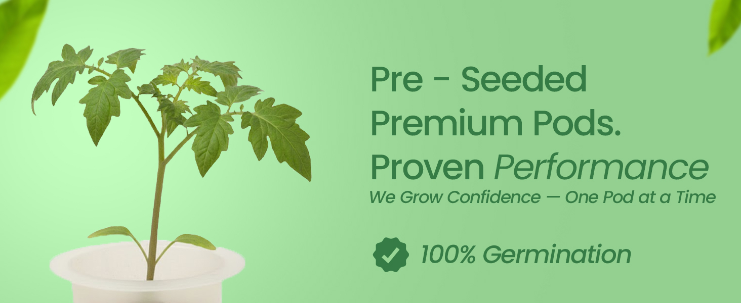 Premium EZ-gro Yellow Canary Cherry Tomato pre-seeded 3-pods with Oasis® substrates for strong roots