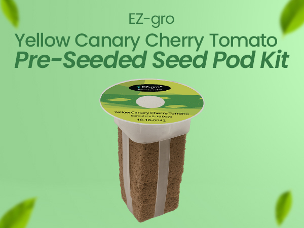 EZ-gro Yellow Canary Cherry Tomato pre-seeded seed 3-pod kit with soil-free Oasis® sponges for hydroponic systems
