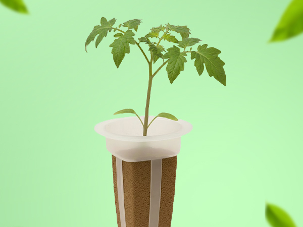 Simple and sustainable hydroponic gardening with EZ-gro Yellow Canary Cherry Tomato seed 3-pods