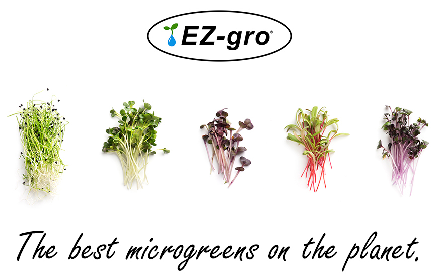 ez-grow-best-microgreen-on-planet