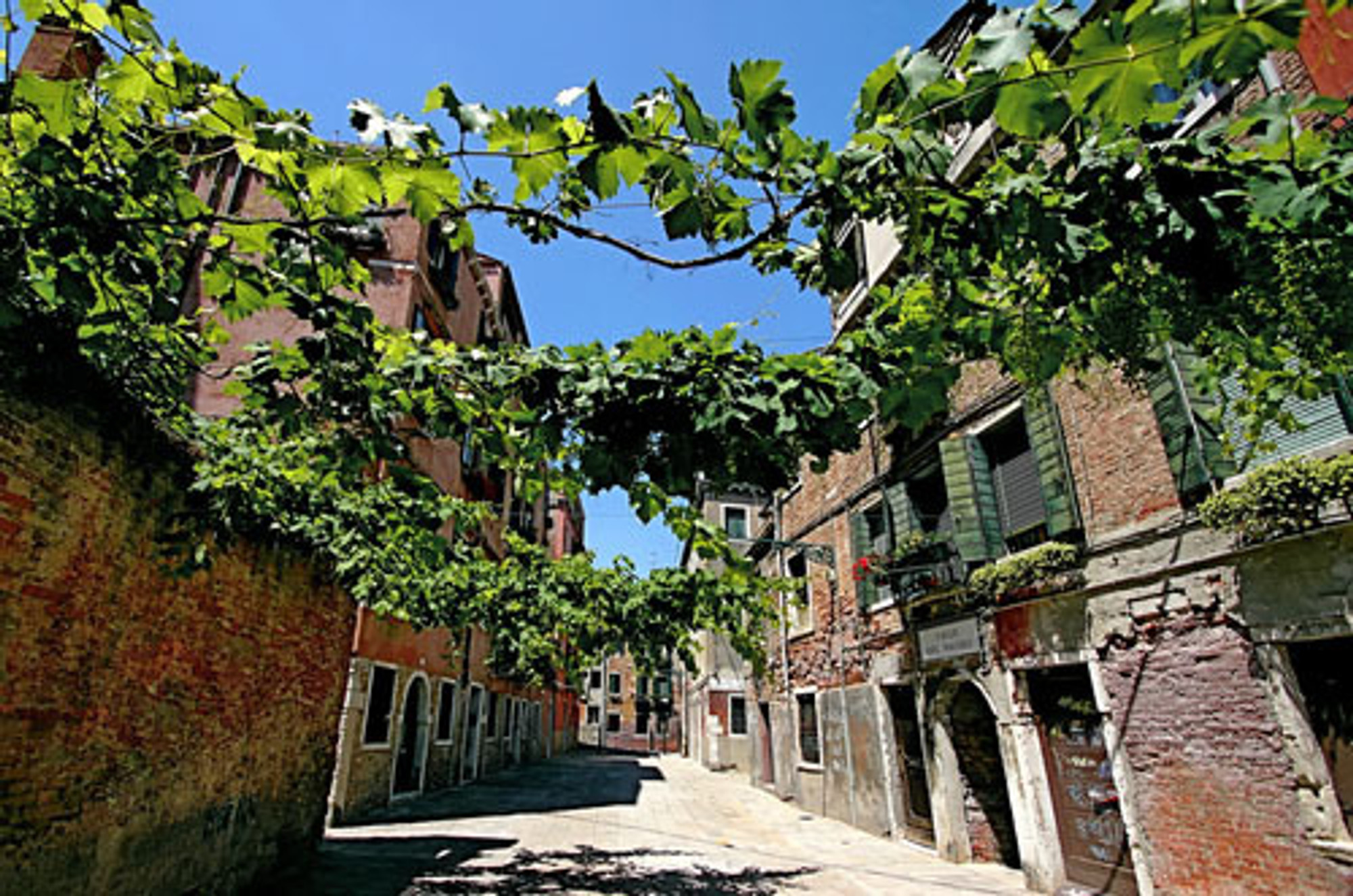 Veneto