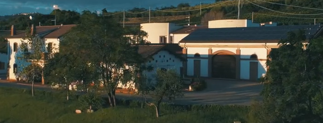 Cantine Angelo D'Uva 