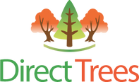 Direct Trees