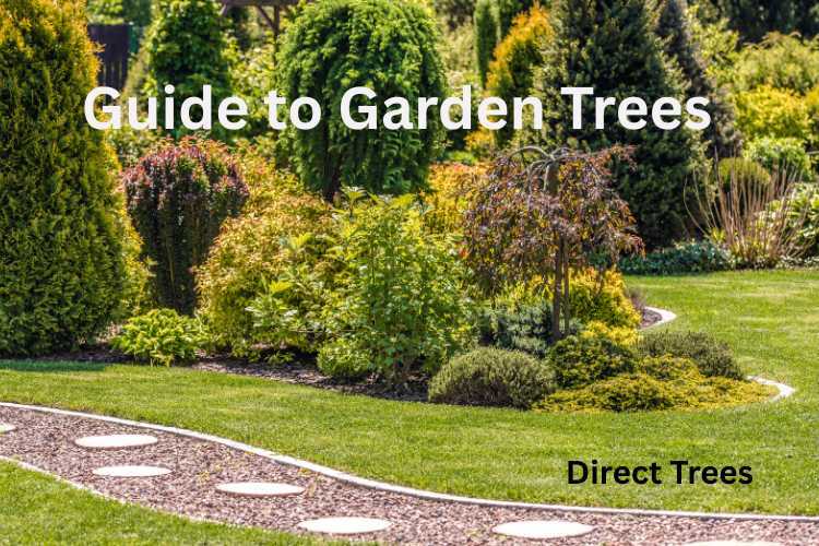 guide-to-garden-trees.jpg