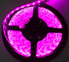 16 Foot 5M 5050 LED Custom Tape Strip IP67 Purple - Tape Strip Reel Custom Lighting System Race Sport Lighting