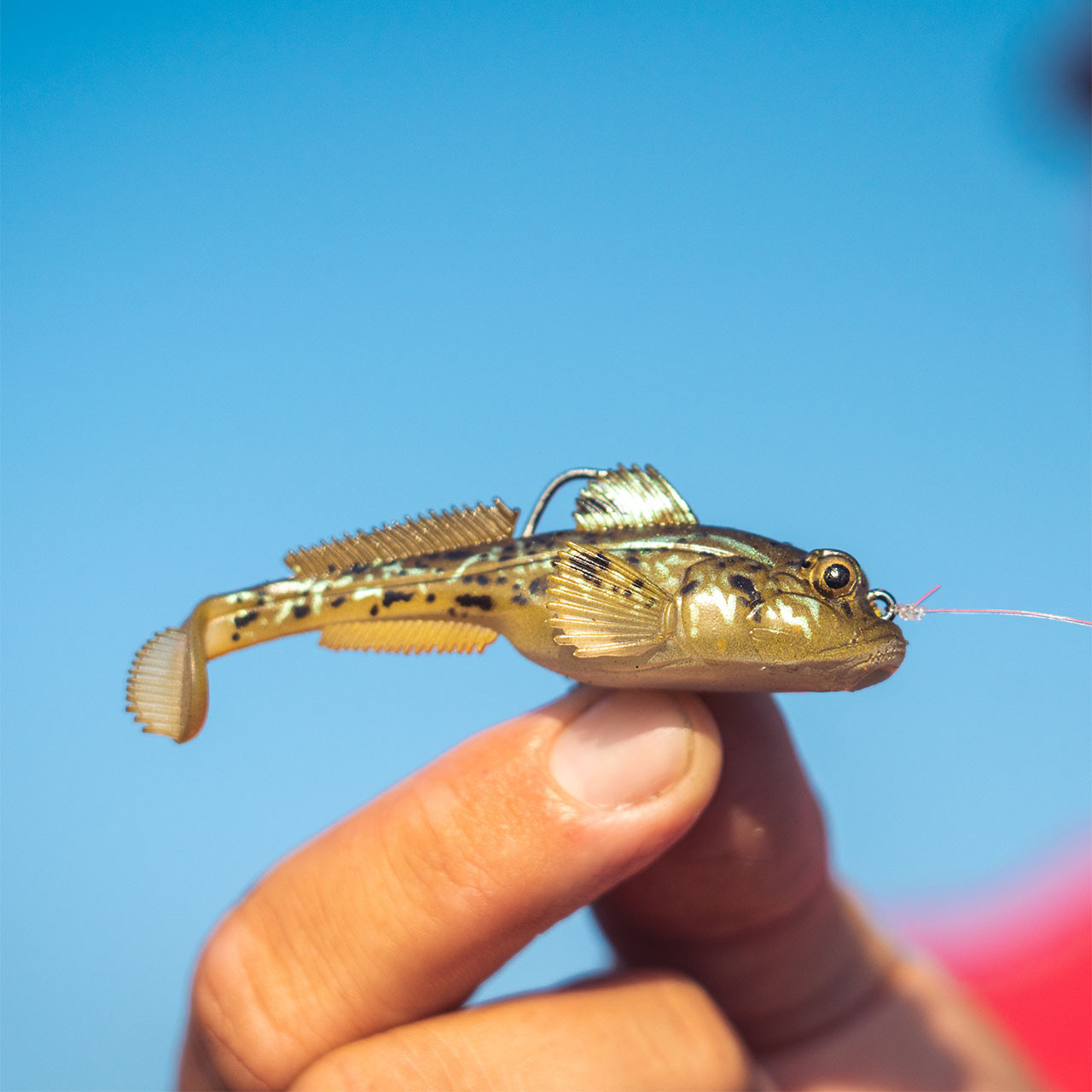 Z-Man Gobius