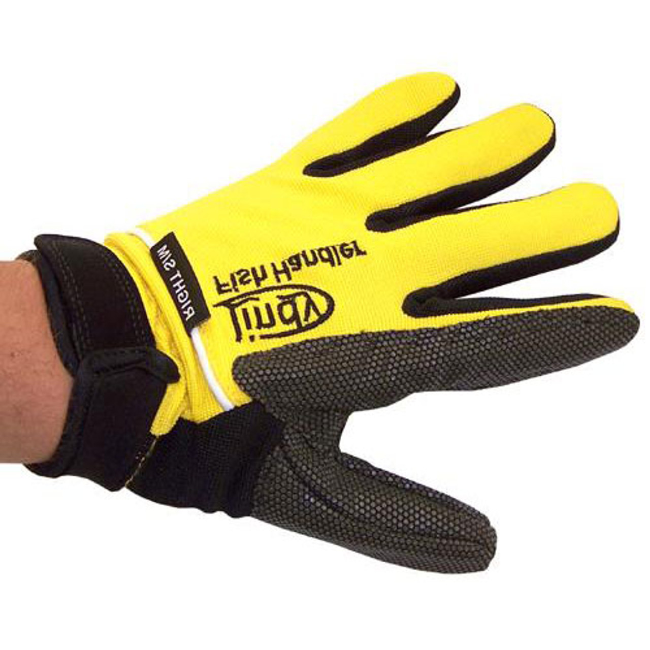 Lindy Fish Handling Glove Fights the Punctures and Cuts Associated with  Handling Fish