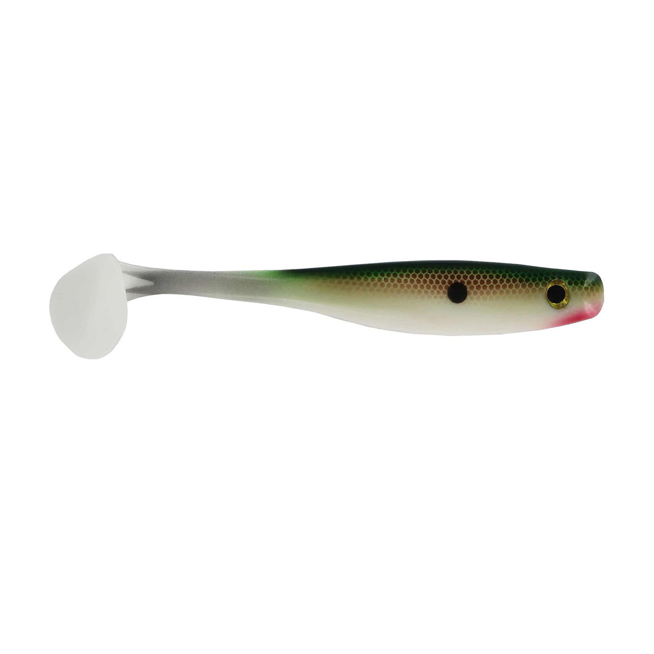 Big Bite Baits 5 Suicide Shad Tennessee Shad