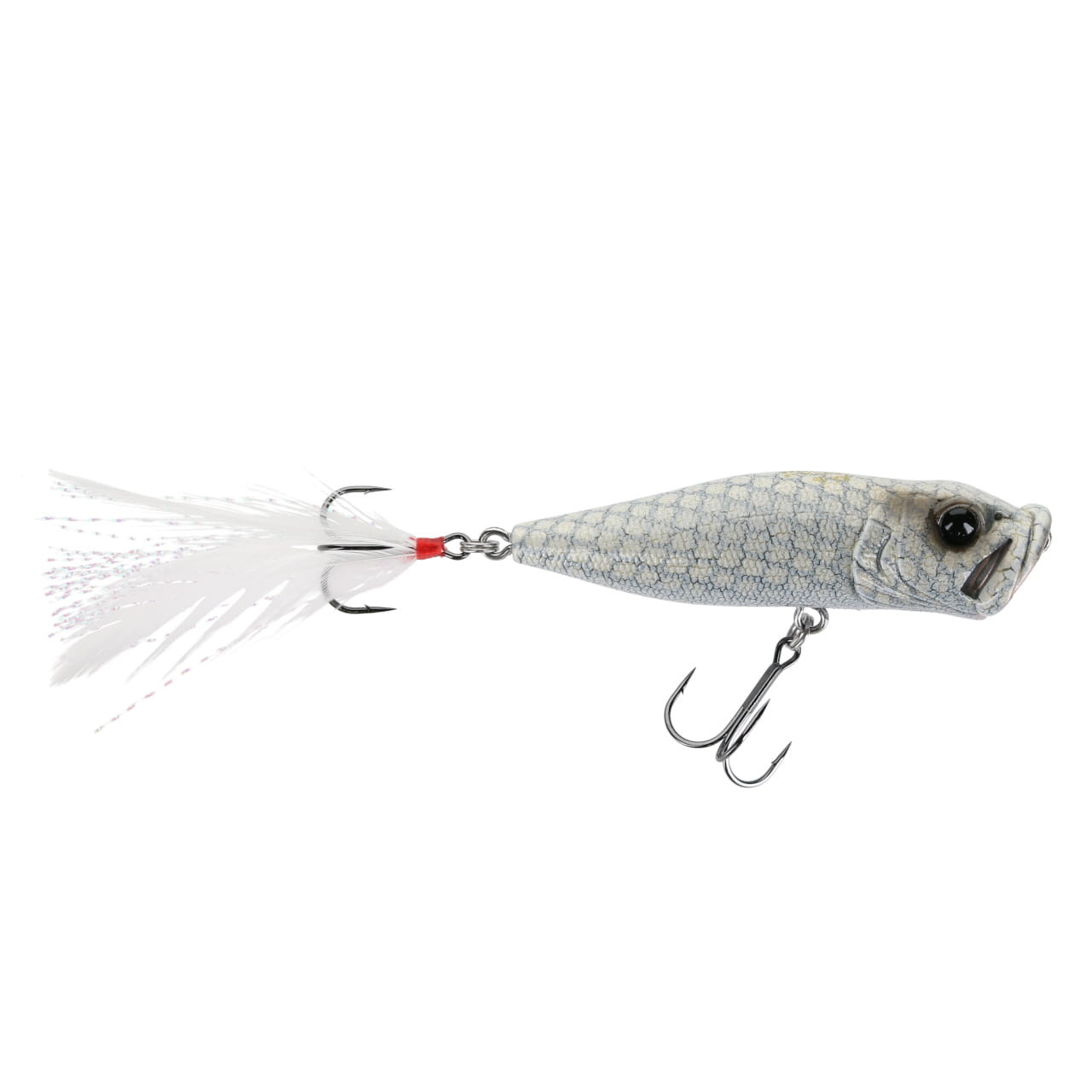 Megabass Pop-X | FishUSA