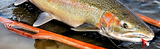 Ten Tips For Conquering Northwest Tributary Steelhead