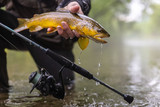 ​What are the Best Trout Baits? The 5 Best Trout Baits