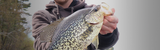 Best Crappie Hooks: A Comprehensive Buying Guide