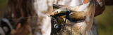 Best Bass Lures for Pond Fishing: Proven Baits That Catch More Fish