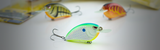 Best Squarebill Crankbaits to Trigger Shallow Water Strikes