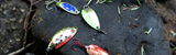 The Best Trout Spoons: Top Picks for Trout Fishing Success