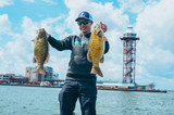 ​Lake Erie Urban Angling