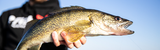 Lake Erie Walleye: Jigging vs Trolling Decision Tree (What to Do Today)