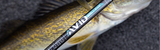 Walleye Fishing Setup: Rod, Reel & Line Guide for Spinning, Jigging & Trolling