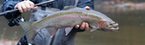 Clear Water Steelhead Tactics: Stealth, Small Baits, and Smart Boat Control