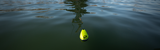 Crappie Fishing with Slip Floats: Best Tips, Rig Setup, and How to Fish Them