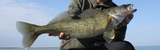 Targeting Pre-Spawn Walleyes