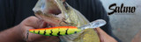 Salmo Performance Fishing Lures