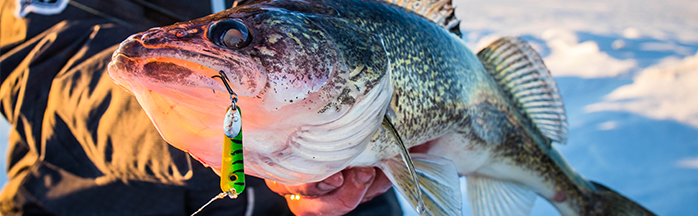 best g loomis rod G. NRX+ Fly Name:1der Bred Walloping wind and cloud Some of our favourite bait casting rod