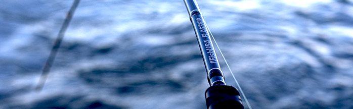 best fishing pole rod to use trolling a pro troll Okuma X-Troll Salmon Rods 992XH 9'9" but sensitive enough to feel the lightest of bites Best Trolling Rods for Steelhead: