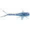 Bobby Garland Mayfly Soft Bait color Blue Ice Bobby Garland Mayfly Soft Bait color Blue Ice