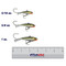 Northland Pitchin' Puppet color Green Perch in all sizes (5/16 oz., 5/8 oz., 1 oz.,) above a FishUSA 6 inch ruler