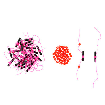 Beau Mac Bobber Stop Knots with Beads in Fluorescent Pink / Red color scheme