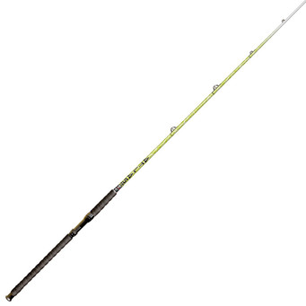 BnM Fishing Atlas Catfish Casting Rod