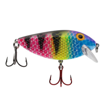 Ice Strong Killer Fish Shallow Diver color Magic Zebra UV lure