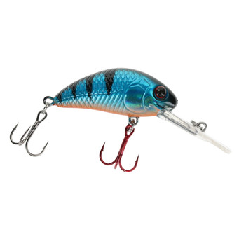 Vexan Rattlin' Wasp Crankbait color Coot Perch