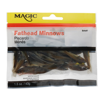 Magic Products Preserved Fathead Minnows Small