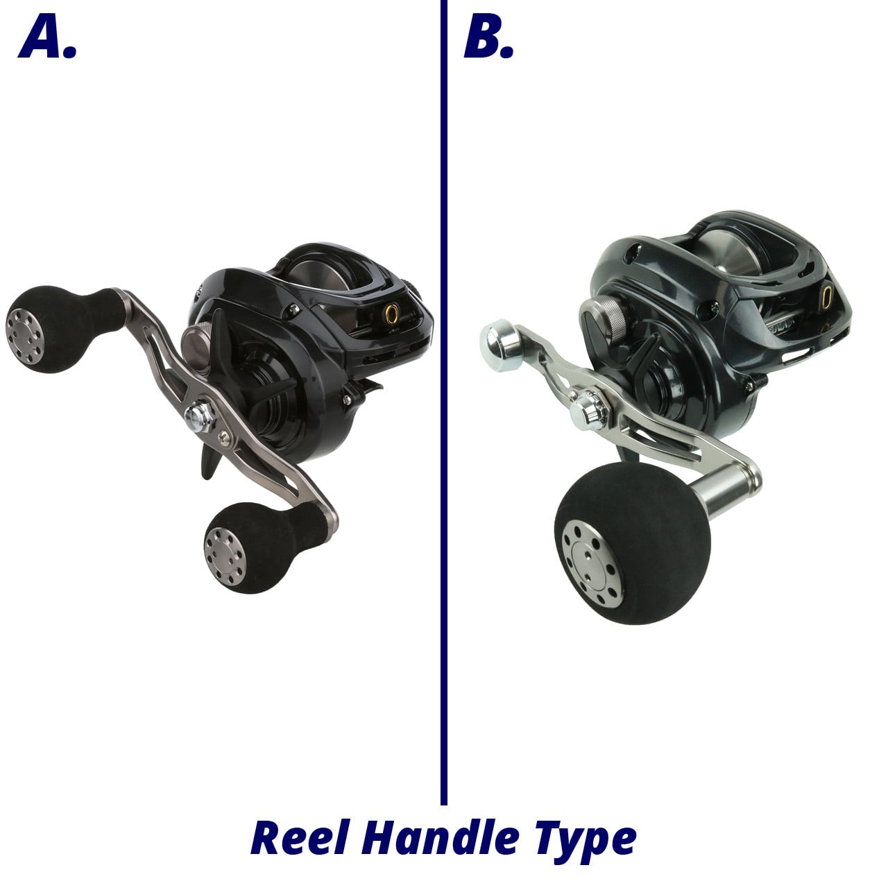 Daiwa Lexa Baitcasting Reel both model types in a reel chart