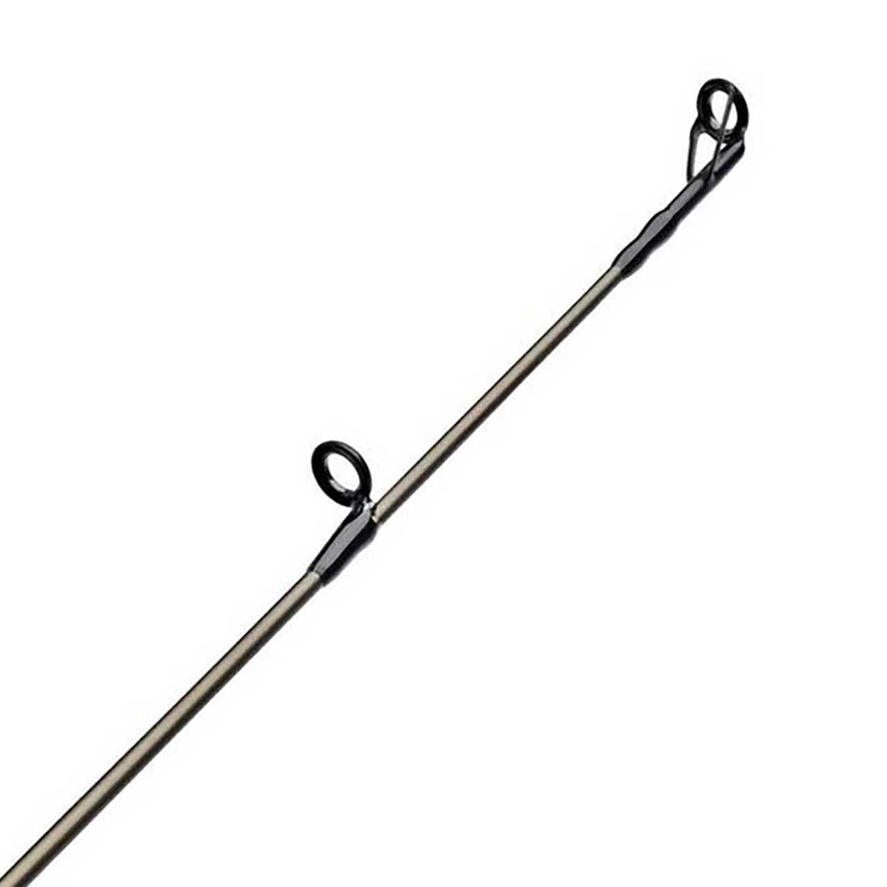 Fenwick Eagle Bass Casting Rod close up of tip
