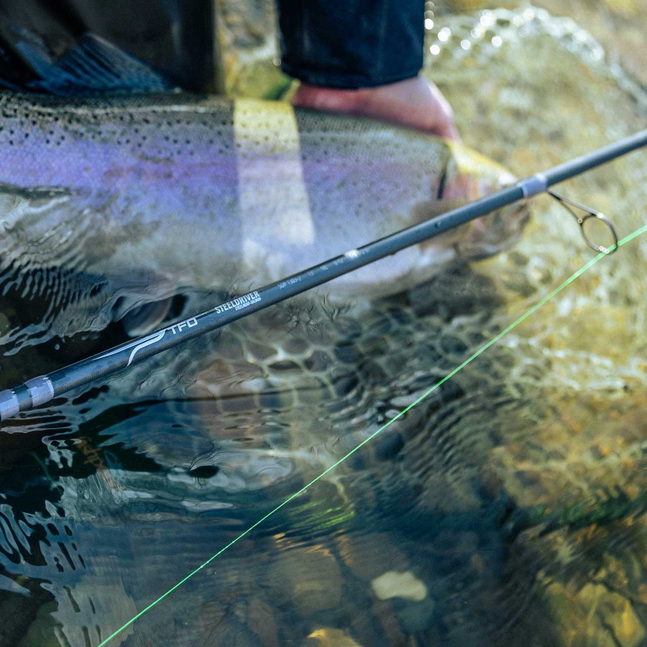 Closeup of Temple Fork Outfitters Steeldriver Centerpin Rod in front of angler holding a steelhead in water