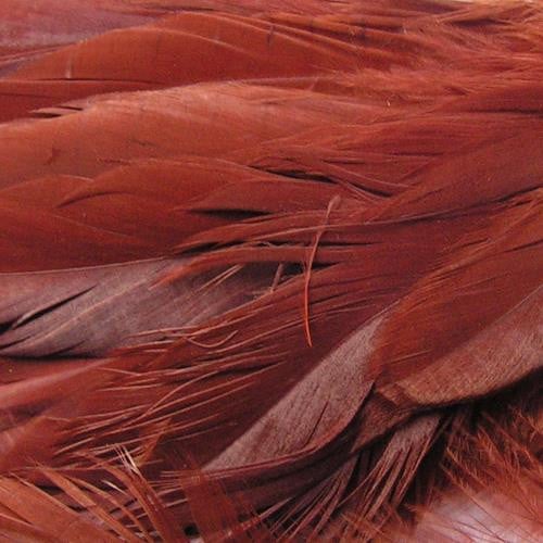Wapsi Strung Schlappen color Brown
