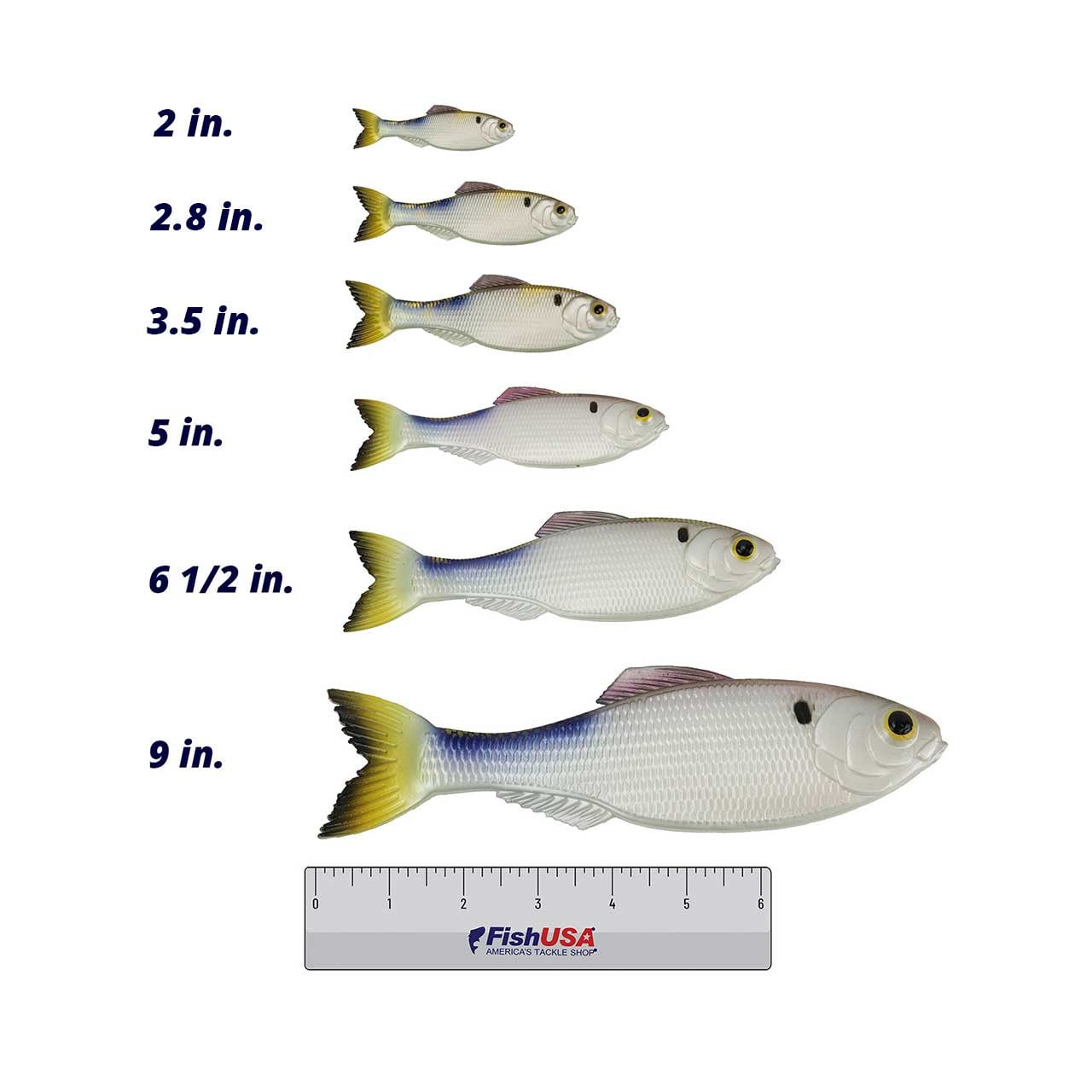 6th Sense Panorama Swimbait Comparison of 2, 2.8,3,5, 6 1/2, and 9 inch sizes over a FishUSA ruler