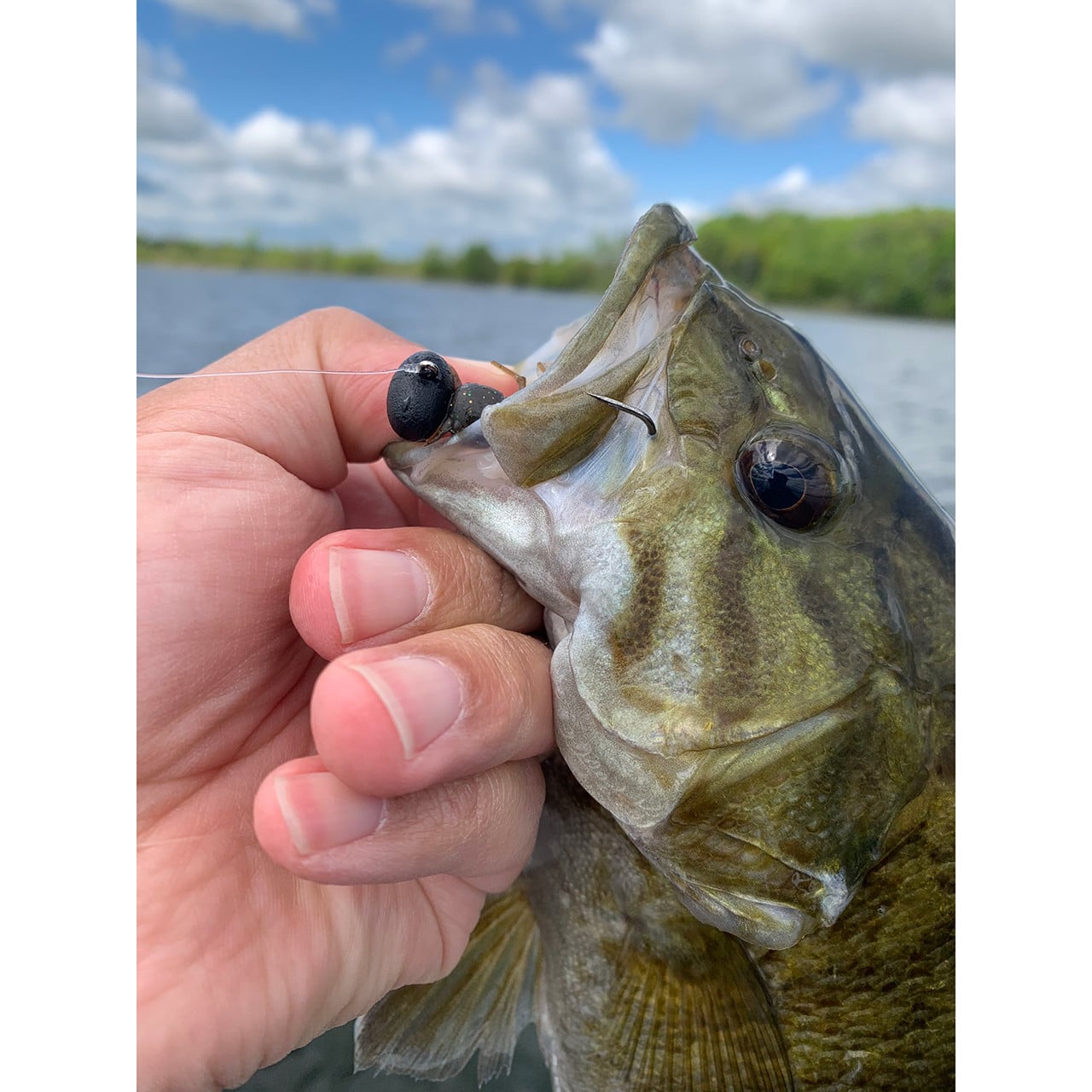 Hand holding a fish caught with a Great Lakes Stealth Football Jig Head color Matte Black inside its mouth