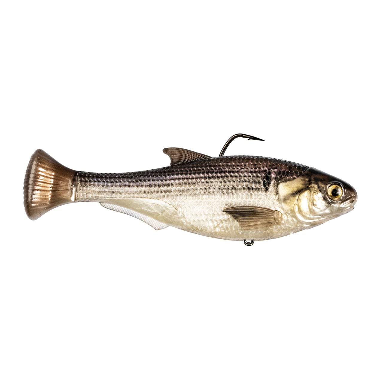 Z-Man Shadtron LT Swimbait 4 1/2" color Gizzard Shad