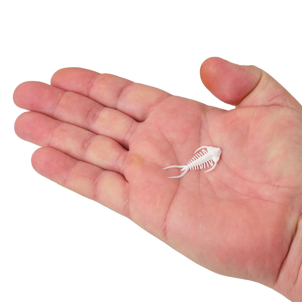 Berkley PowerBait Trilobite Creature Bait in palm of hand